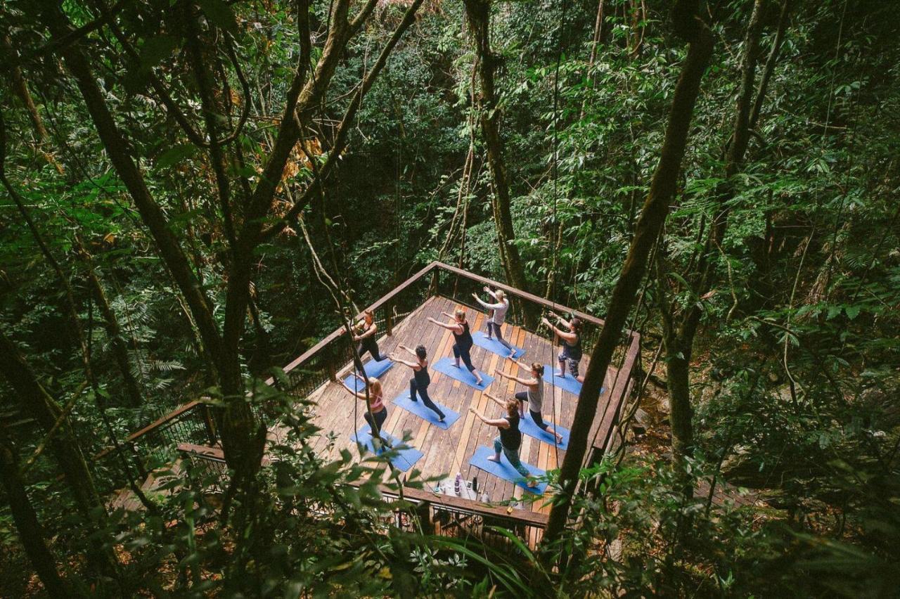 Resort Daintree Ecolodge 4*