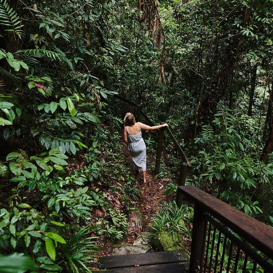Daintree Ecolodge Resort 4*