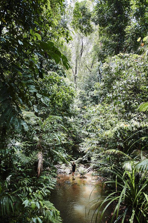 Resort Daintree Ecolodge