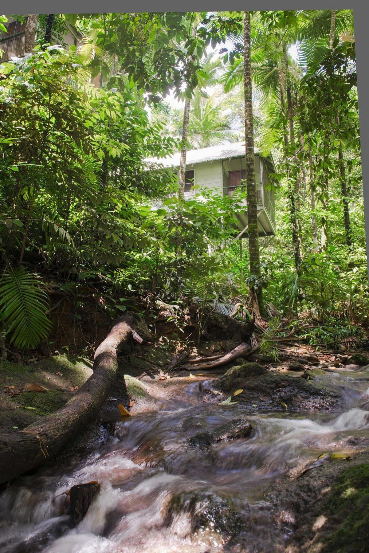 Resort Daintree Ecolodge Daintree