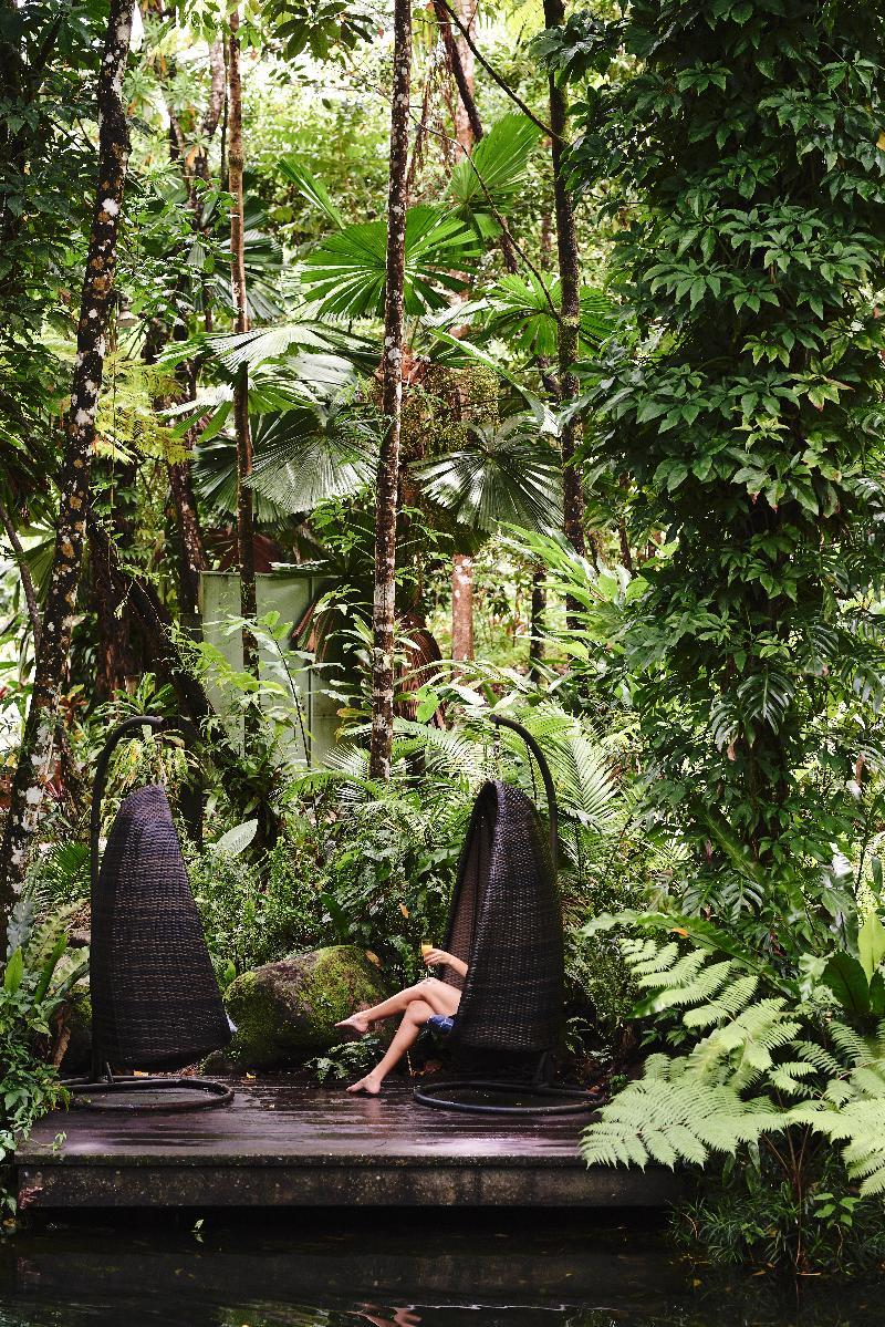 Daintree Ecolodge Daintree