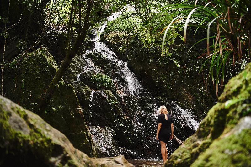 Daintree Ecolodge 4*