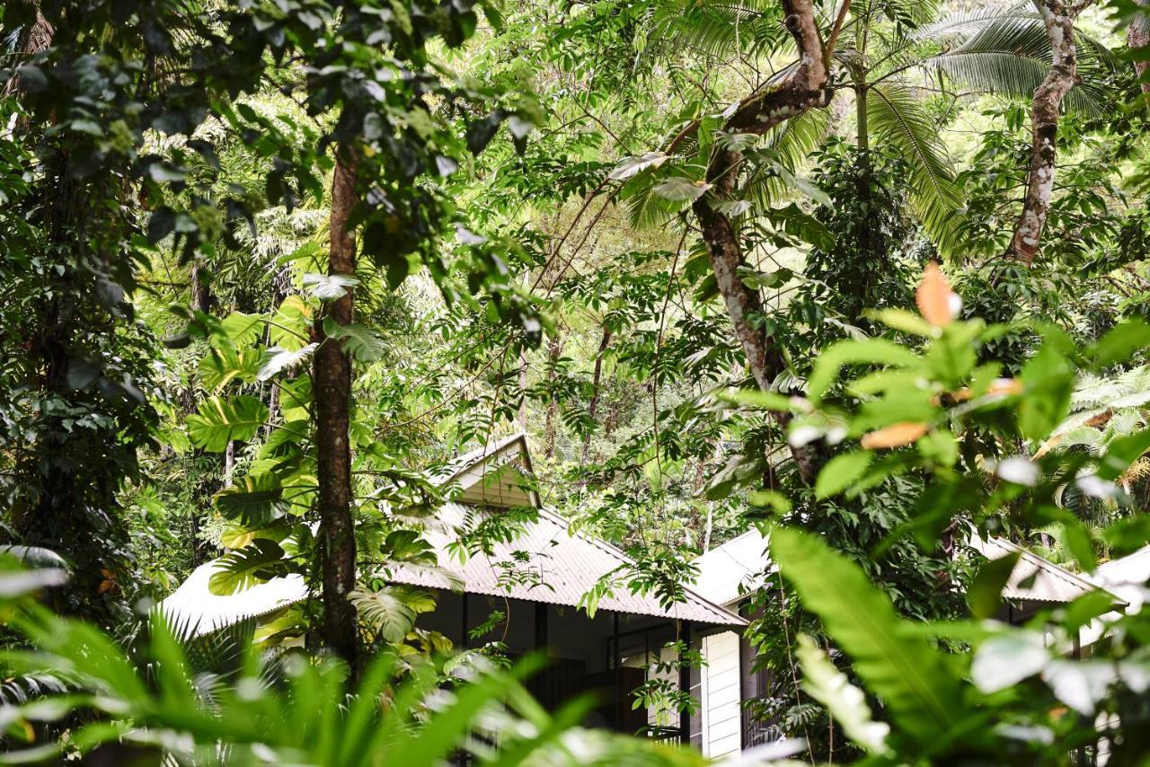Resort Daintree Ecolodge