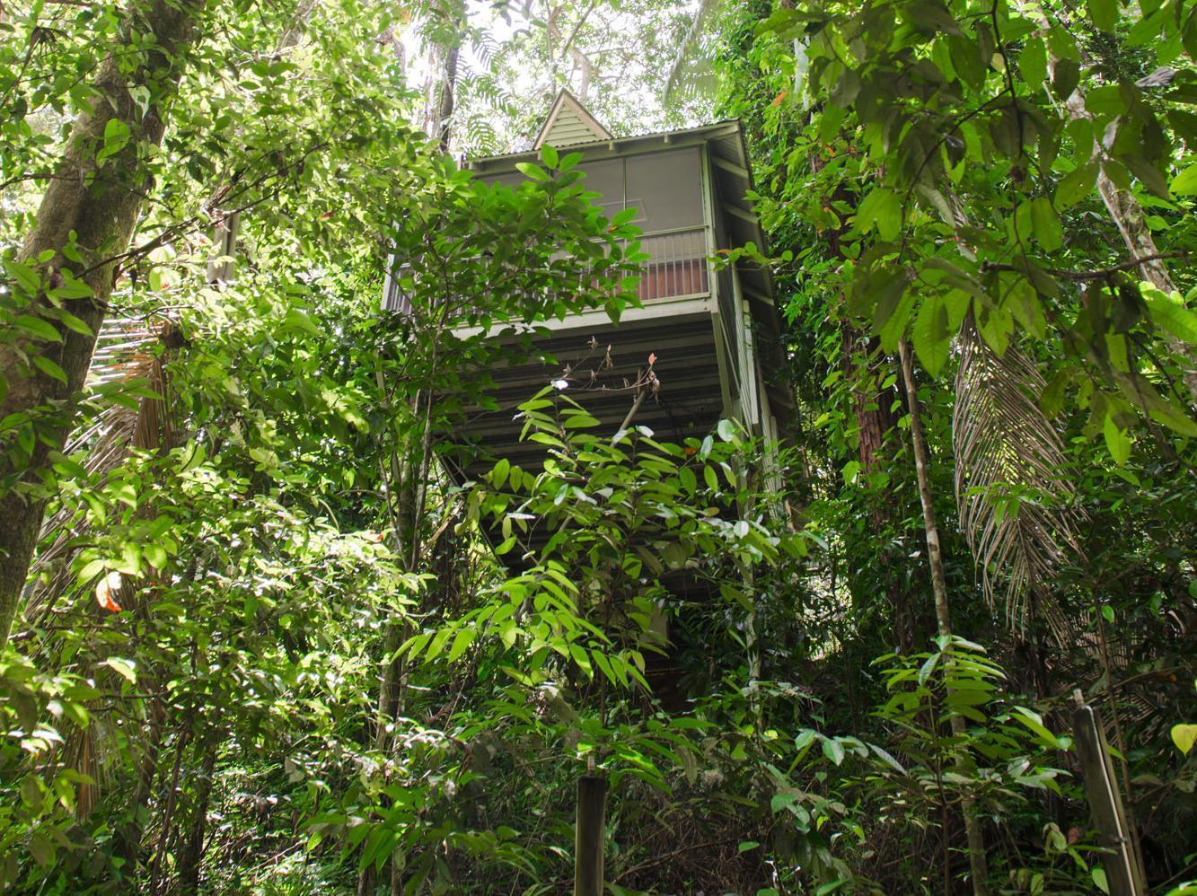 Daintree Ecolodge Resort